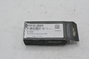 Campagnolo 10 Fach Schaltwerksröllchen RD-RE700 NOS