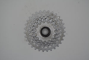 Schraubkranz Regina America CX/CX-S 6-fach 15-31 Zähne