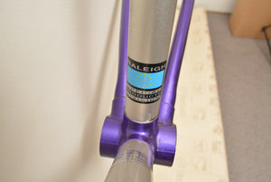 Raleigh Dyna-Tech Rennradrahmen C2000 Titanium 51cm