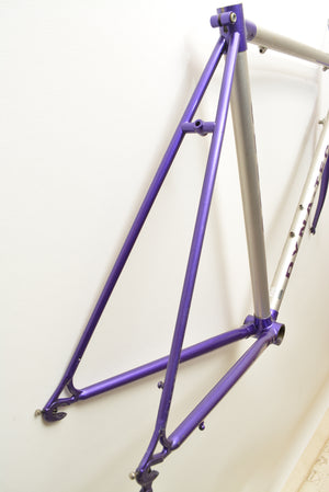 Raleigh Dyna-Tech Rennradrahmen C2000 Titanium 51cm