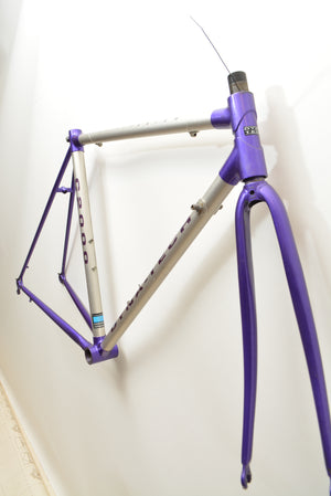 Raleigh Dyna-Tech Rennradrahmen C2000 Titanium 51cm