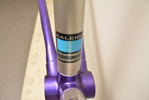 Raleigh Dyna-Tech Rennradrahmen C2000 Titanium 51cm