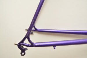 Raleigh Dyna-Tech Rennradrahmen C2000 Titanium 51cm