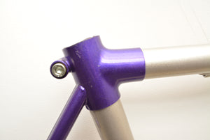 Raleigh Dyna-Tech Rennradrahmen C2000 Titanium 51cm