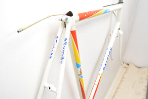 Raleigh Rennradrahmen 58cm Stahl Rahmenset