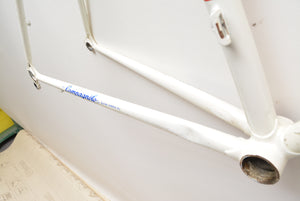 Raleigh Rennradrahmen 58cm Stahl Rahmenset