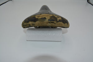 Selle Ideale 2002 Rennradsattel Peau Mousse