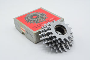 Regina Cx 6-fach Schraubkranz 14-22 Zähne