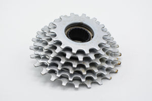 Regina Cx 6-fach Schraubkranz 14-24 Zähne