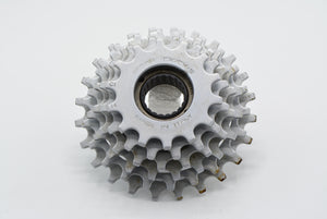 Regina Cx 6-fach Schraubkranz 14-24 Zähne