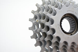 Regina Cx 6-fach Schraubkranz 14-24 Zähne