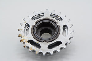 Regina Cx 6-fach Schraubkranz 14-24 Zähne