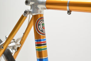 Waja Alan Yol Bisikleti Süper Rekor Polonya Milli Takımı 53cm Campagnolo Nuovo Record Vintage Yol Bisikleti L'Eroica