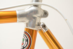 Waja Alan Rennrad Super Record Polnische Nationalmannschaft 53cm Campagnolo Nuovo Record Vintage Roadbike L'Eroica