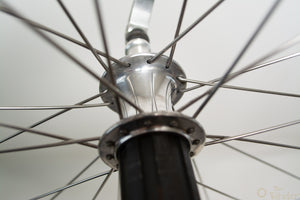 Ambrosio Futura TQB 28" Hinterrad