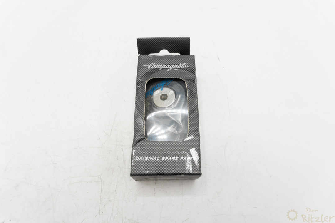 Campagnolo Record Schaltwerkrollen 10-fach RD-RE700