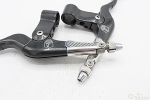 Campagnolo Euclid MTB Bremshebel anthrazit 2-Finger