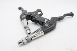 Campagnolo Euclid MTB Bremshebel anthrazit 2-Finger