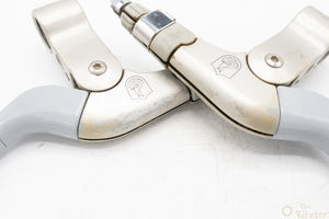 Campagnolo Euclid MTB Bremshebel silber 2-Finger