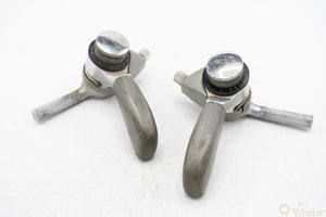 Campagnolo Euclid MTB Daumenschalthebel 3x8 silber