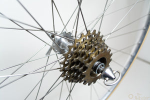 Campagnolo Gran Sport auf Mavic Monthelery Route Laufradsatz