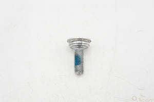 Campagnolo Kurbelschraube FC-RE104 Innensechskant