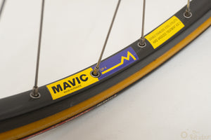 Denti Mistral 56cm Vintage Rennrad L'Eroica