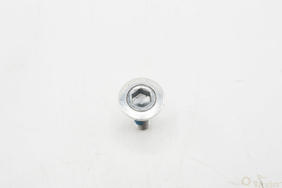 Campagnolo Kurbelschraube FC-RE104 Innensechskant