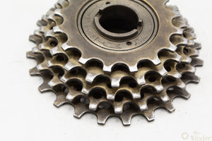 Everest 5-fach Schraubkranz