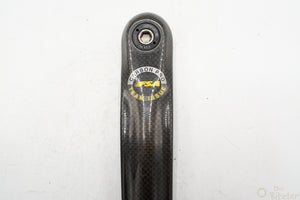 FSA Carbon Pro Team Issue 172,5mm Kurbelsatz