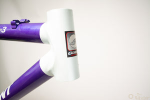 Giant Cadex CFM3 MTB-Rahmen 39cm