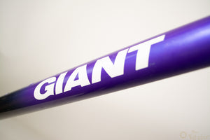 Giant Cadex CFM3 MTB-Rahmen 39cm