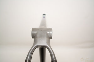 Giant Cadex CFM3 MTB-Rahmen 39cm