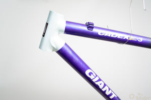 Giant Cadex CFM3 MTB-Rahmen 39cm