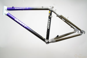 Giant Cadex CFM3 MTB-Rahmen 39cm