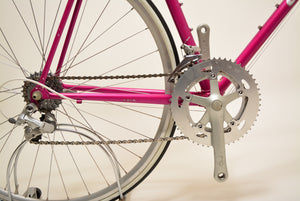 Giant Peloton Super Lite 55cm Shimano 105 Vintage Steelbike