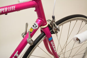 Giant Peloton Super Lite 55cm Shimano 105 Vintage Steelbike