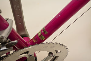 Giant Peloton Super Lite 55cm Shimano 105 Vintage Steelbike