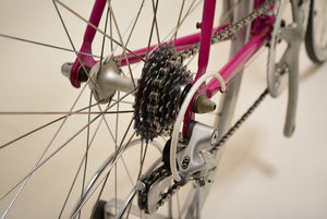 Giant Peloton Super Lite 55cm Shimano 105 Vintage Steelbike