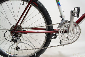 Longus Competition Pro 51cm Vintage Mountainbike in Rot