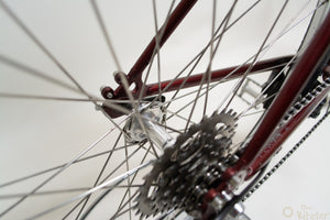 Longus Competition Pro 51cm Vintage Mountainbike in Rot