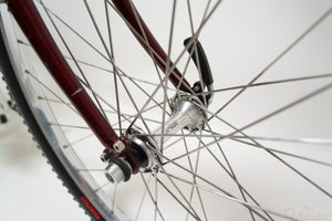 Longus Competition Pro 51cm Vintage Mountainbike in Rot