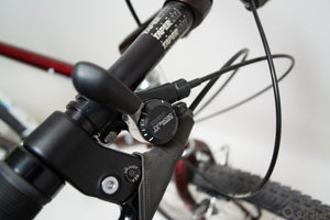 Longus Competition Pro 51cm Vintage Mountainbike in Rot