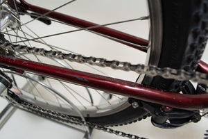 Longus Competition Pro 51cm Vintage Mountainbike in Rot