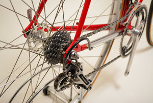 Olmo Scatto 55cm Campagnolo Vintage Steelbike L'Eroica