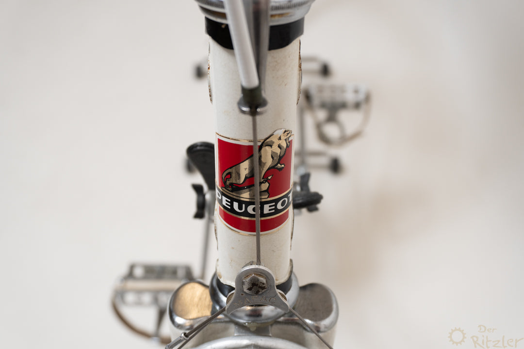 Peugeot PA 10 54cm Vintage Rennrad L'Eroica