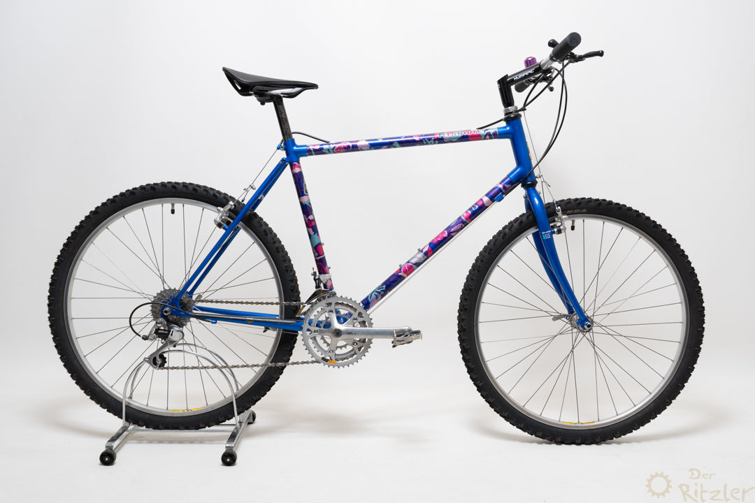 Raleigh Dyna-Tech Titanium 47cm Vintage Mountainbike