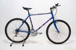 Raleigh Dyna-Tech Titanium 47cm Vintage Mountainbike
