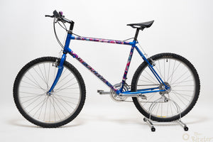Raleigh Dyna-Tech Titanium 47cm Vintage Mountainbike