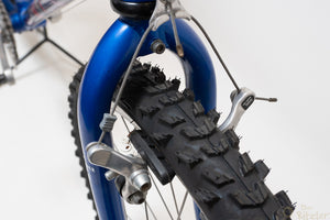Raleigh Dyna-Tech Titanium 47cm Vintage Mountainbike